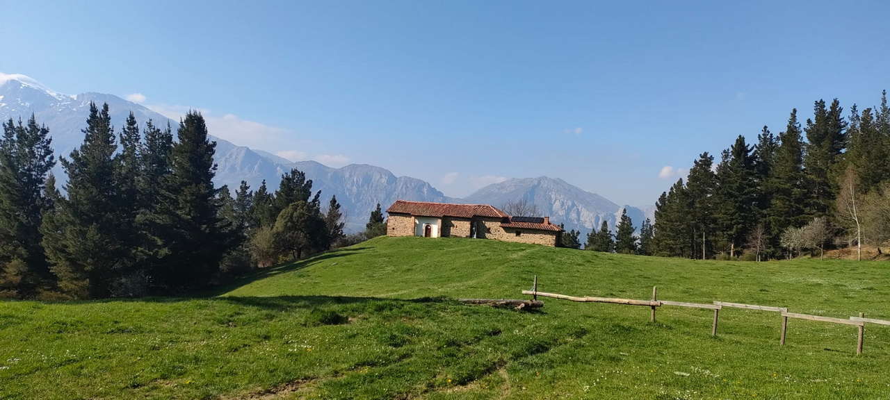 WhatsApp Image 2026-03-23 at 08.14.08 (1)